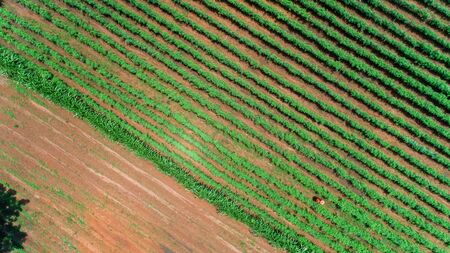 Aerial view of endless lush pastures and farmlands of morogoro town, Tanzaniaの写真素材