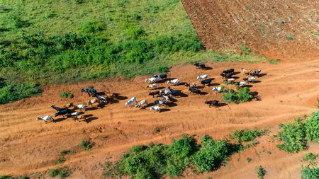 Aerial view of endless lush pastures and farmlands of morogoro town, Tanzaniaの写真素材
