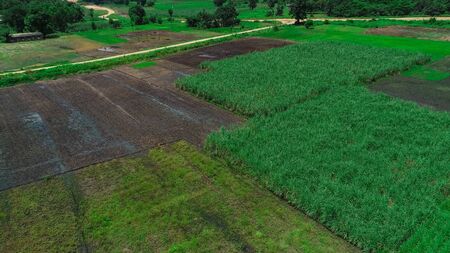 Aerial view of endless lush pastures and farmlands of morogoro town, Tanzaniaの写真素材