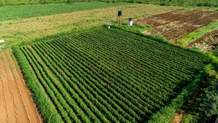 Aerial view of endless lush pastures and farmlands of morogoro town, Tanzaniaの写真素材