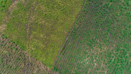 Aerial view of endless lush pastures and farmlands of morogoro town, Tanzaniaの写真素材