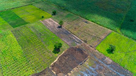 Aerial view of endless lush pastures and farmlands of morogoro town, Tanzaniaの写真素材