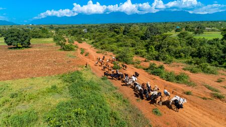 Aerial view of endless lush pastures and farmlands of morogoro town, Tanzaniaの写真素材