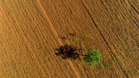 Aerial view of endless lush pastures and farmlands of morogoro town, Tanzaniaの写真素材