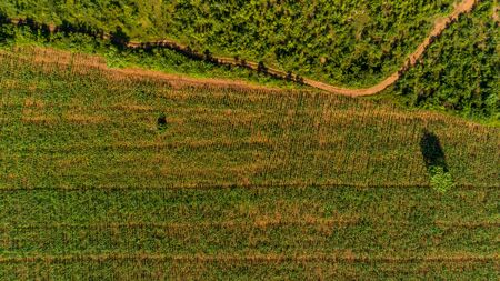 Aerial view of endless lush pastures and farmlands of morogoro town, Tanzaniaの写真素材