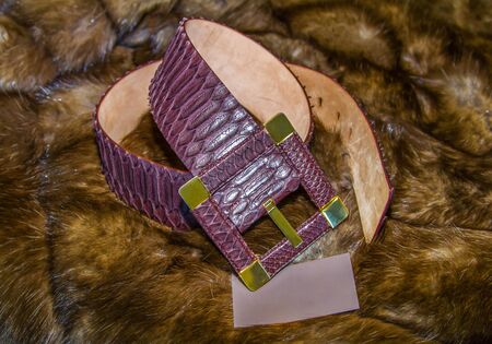 Python leather belt with luxurious fur. Violet, lilac, shabby, business card, copy space. Close-upの写真素材