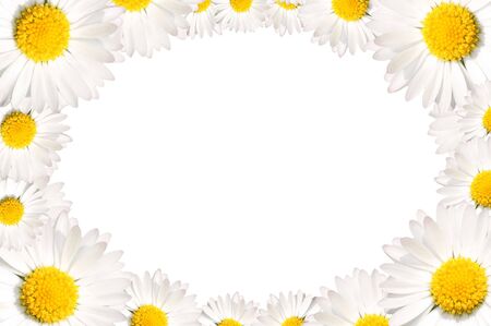 Floral frame made of common daisy flowersの写真素材