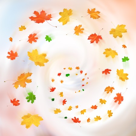 Colourful autumn leaves in a twirlの写真素材