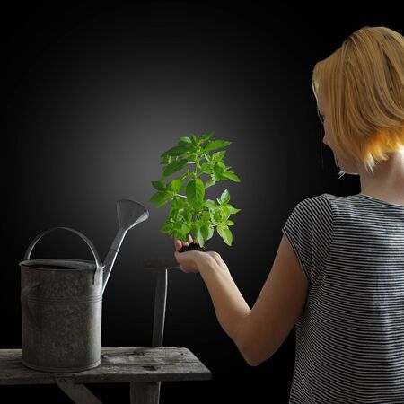 Gardening concept - Young woman holding a green plant on black background.の写真素材