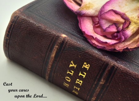Bible, Rose and Scripture