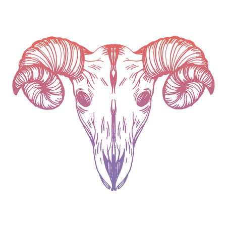 Realistic detailed hand drawn illustration of an old sheep skull with cracks and big horns on a background of red roses. Graphic vintage tattoo style image on occult theme.のイラスト素材