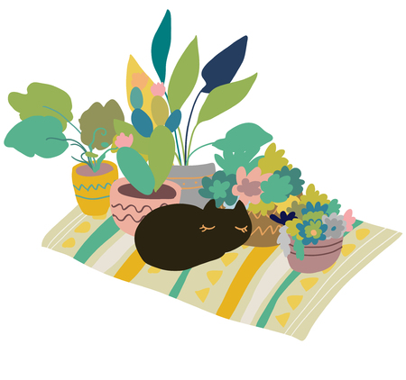 Urban interior house plants in decorative pots vector illustration. Hand drawn art succulents cacti ficus tropical plants and sleeping cat in scandinavian minimal style isolated on white.のイラスト素材