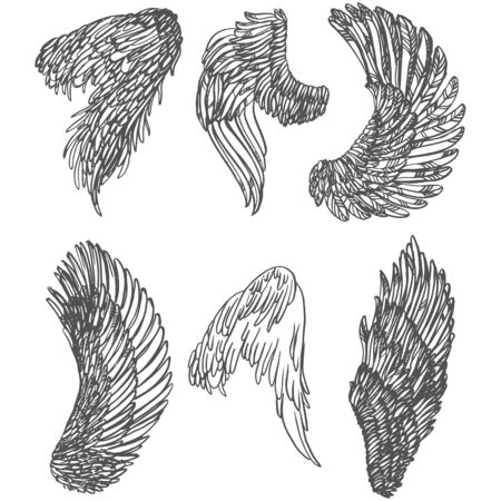 Realistic detailed hand drawn illustration of wings set. Graphic tattoo style image. Design element for t-shirt print.のイラスト素材