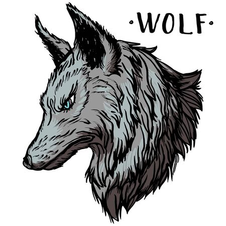 Graphic engraving style illustration of wolf head. Realistic detailed hand drawn art in tattoo style. Design for t-shirt, clothes, card print.のイラスト素材