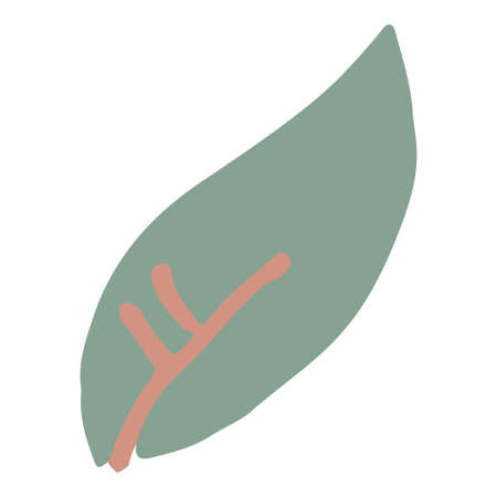 Simple leaf design element isolated. Hand drawn vector.のイラスト素材