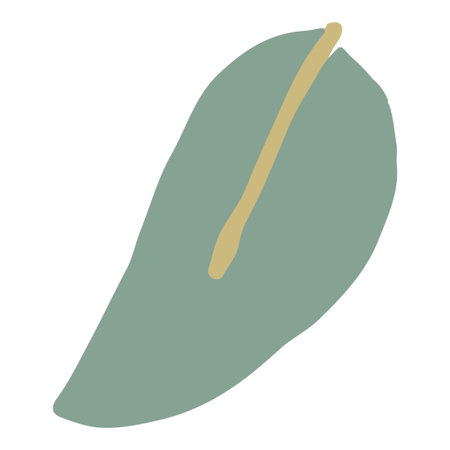 Simple leaf design element isolated. Hand drawn vector.のイラスト素材