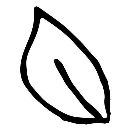 Simple leaf design element outline isolated. Hand drawn vector.のイラスト素材