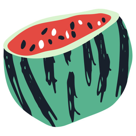 Watermelon hand drawn illustration in organic style isolatedのイラスト素材