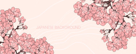 Sakura cherry blossom in bloom japanese vector background. Horizontal bannerのイラスト素材