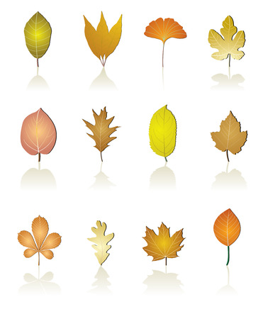 tree leaf iconのイラスト素材