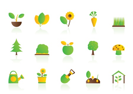 Different Plants and gardening Icons - vector icon set のイラスト素材