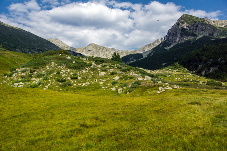 Landscape of Green hills in Pirin Mountain , Bulgariaの写真素材