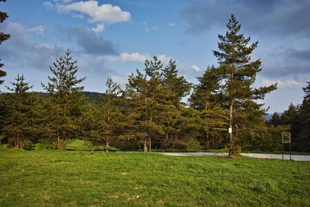 Green Forest Landscape in Rhodopes Mountain, Bulgariaのeditorial素材