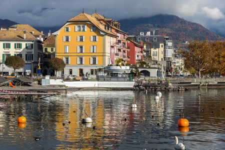 Swans swimming in Lake Geneva, town of Vevey, canton of Vaud, Switzerlandのeditorial素材