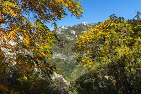 Autumn view of Anathema hill in Rhodopes Mountain from Asen's Fortress, Asenovgrad, Plovdiv Region, Bulgariaのeditorial素材