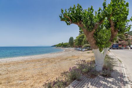 beach of town of Poros, Kefalonia, Ionian Islands, Greeceのeditorial素材