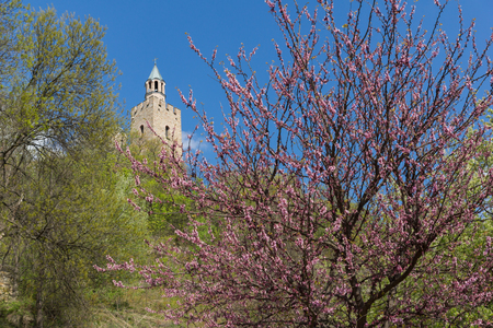 VELIKO TARNOVO, BULGARIA - 9 APRIL 2017: Ruins of The capital city of the Second Bulgarian Empire medieval stronghold Tsarevets, Veliko Tarnovo, Bulgariaのeditorial素材