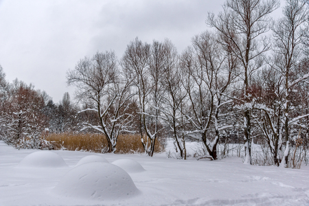 Winter Landscape with snow covered trees in South Park in city of Sofia, Bulgaria