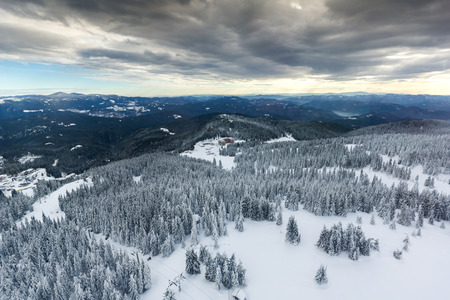 Amazing winter landscape of Rhodope Mountains near pamporovo resort, Smolyan Region, Bulgariaの写真素材