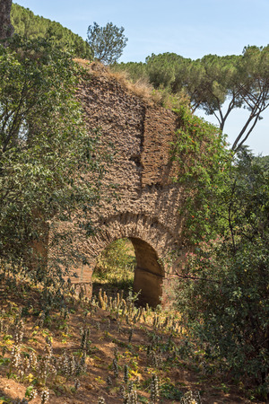 ROME, ITALY - JUNE 24, 2017: Panoramic view of ruins in Palatine Hill in city of Rome, Italyのeditorial素材
