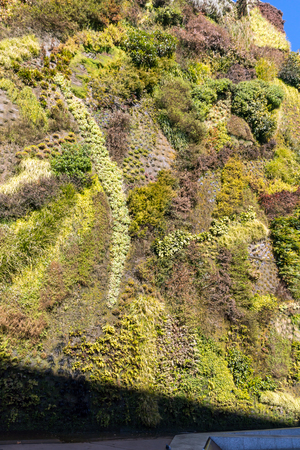 MADRID, SPAIN - JANUARY 22, 2018: Vertical garden wall and CaixaForum Museum in City of Madrid, Spainのeditorial素材
