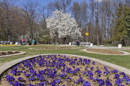 SOFIA, BULGARIA - MARCH 27, 2019: Amazing Spring landscape of South Park in city of Sofia, Bulgariaのeditorial素材
