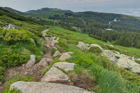 Amazing Summer Landscape of Vitosha Mountain, Sofia City Region, Bulgariaの写真素材