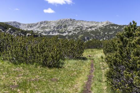 Landscape with green hills near The Stinky Lake (Smradlivoto Lake), Rila mountain, Bulgariaの写真素材