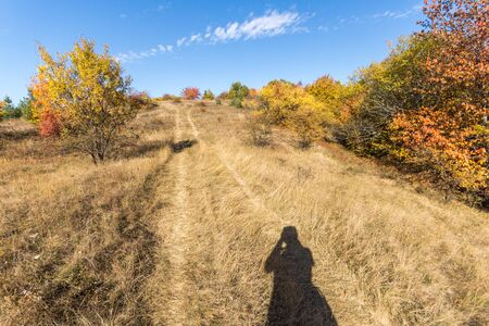 Autumn view of Cherna Gora (Monte Negro) mountain, Pernik Region, Bulgariaの写真素材
