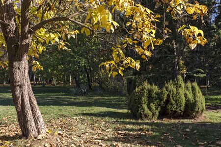 SOFIA, BULGARIA - OCTOBER 26, 2019: Autumn view of South Park in city of Sofia, Bulgariaのeditorial素材