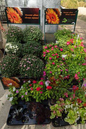SOFIA, BULGARIA -SEPTEMBER 17, 2017:  Botanic garden at the park around former Royal Palace in city of Sofia, Bulgariaのeditorial素材