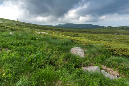 Summer landscape near Cherni Vrah peak at Vitosha Mountain, Sofia City Region, Bulgaria