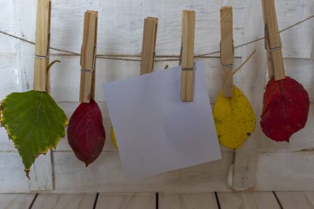 Autumn leaves and a piece of paper caught with a pinch of hemp rope on a white wooden backgroundの写真素材