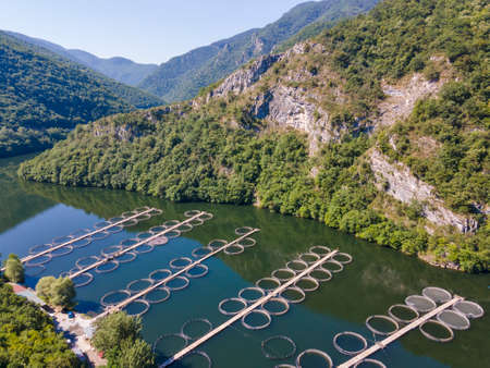 Aerial view of Krichim Reservoir, Rhodopes Mountain, Plovdiv Region, Bulgariaの写真素材