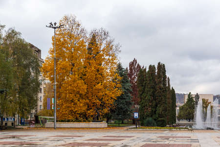 MONTANA, BULGARIA - NOVEMBER 22, 2020: Typical building and street at the center of town of Montana, Bulgariaのeditorial素材