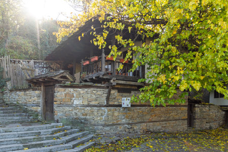 LOVECH, BULGARIA - NOVEMBER 8, 2020: Old Houses from the nineteenth century in The Old town of...