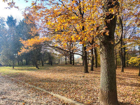Autumn view of South Park in city of Sofia, Bulgariaの写真素材