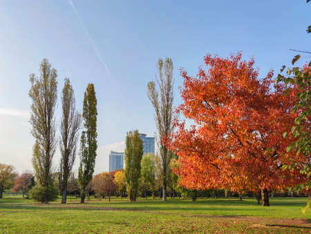 Autumn view of South Park in city of Sofia, Bulgariaの写真素材