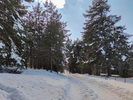 Winter view of Byala Cherkva region at Rhodopes Mountain, Plovdiv Region, Bulgaria