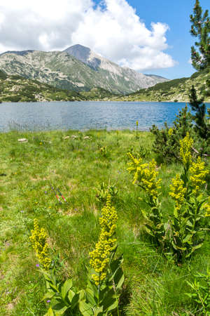 Summer landscape of Fish Banderitsa lake at Pirin Mountain, Bulgariaの写真素材